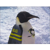jjredline's Avatar