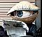 JB Lynch's Avatar