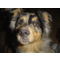 scruffre's Avatar